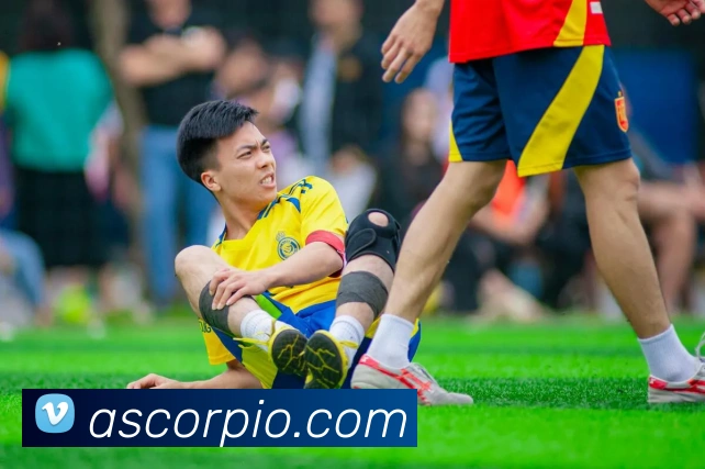 买球官方APP 高清赛事图